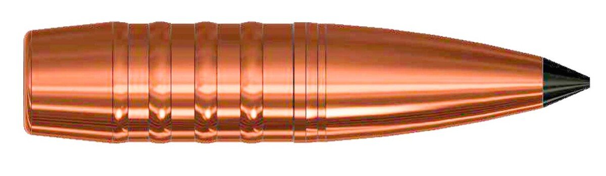 Produktabbildung Hunting Special Geschosse / Cal. .30 / 168gr
