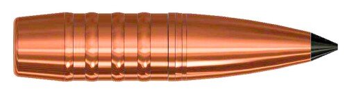 Produktabbildung Hunting .300 Win Mag., 20 Schuss